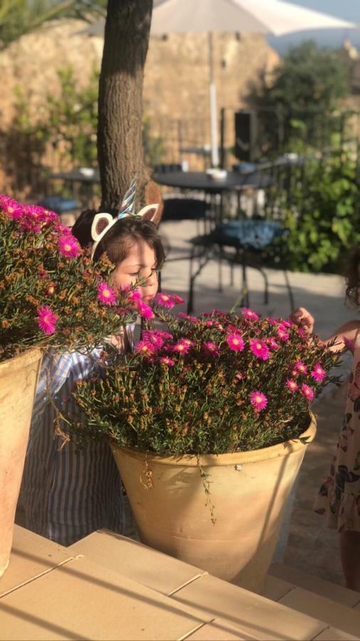 Trigona Garden Suite نوتو المظهر الخارجي الصورة