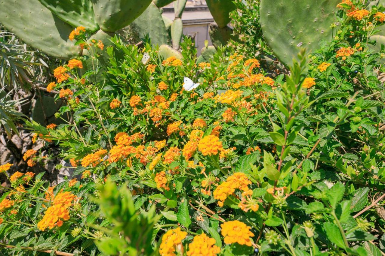 Trigona Garden Suite نوتو المظهر الخارجي الصورة
